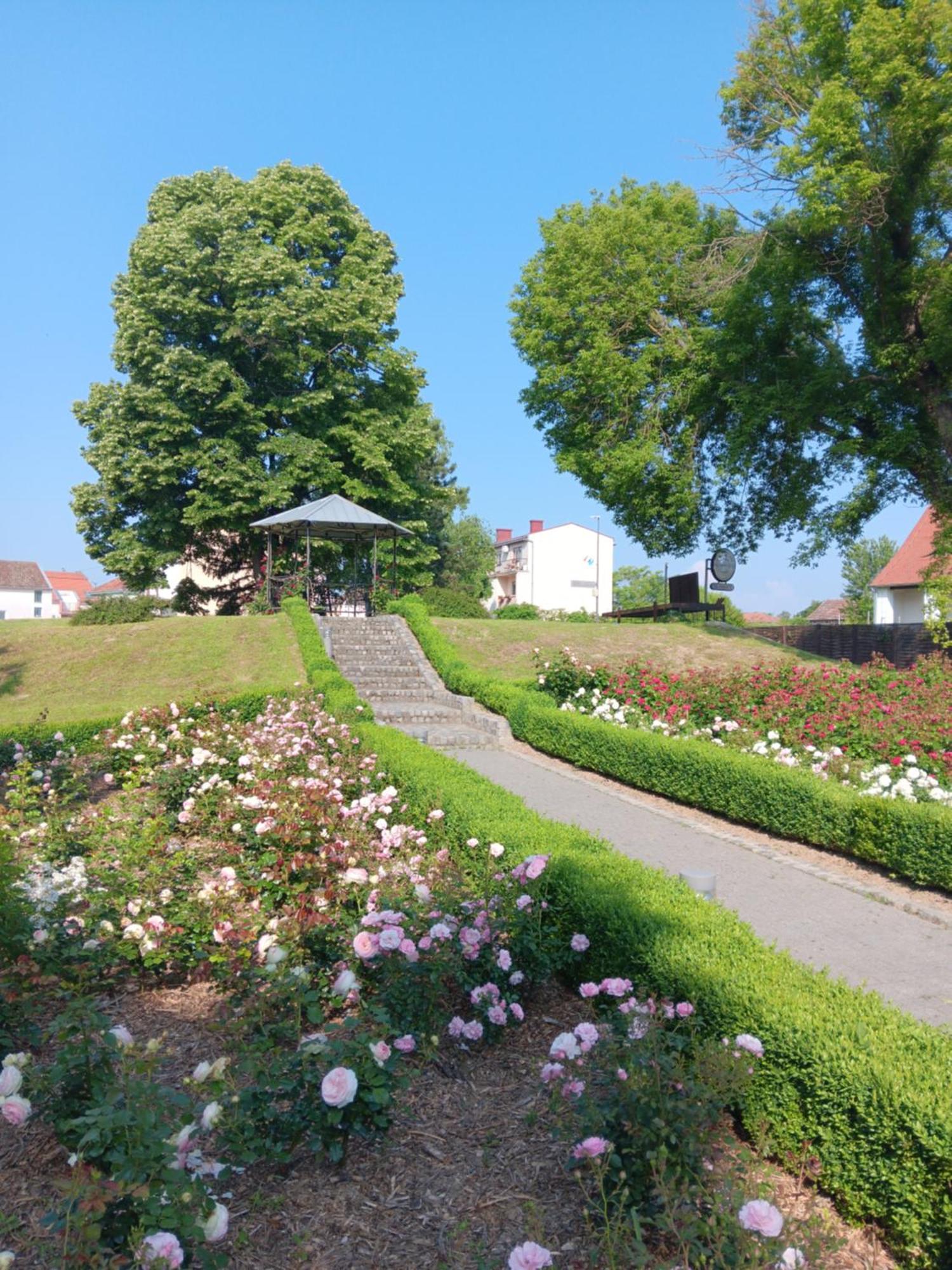 Apartman Dunav Apartment Vukovar Exterior photo